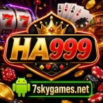 HA999 Game